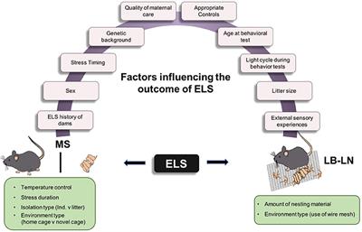 Early Life Stress in Rodents: Animal Models of Illness or Resilience?